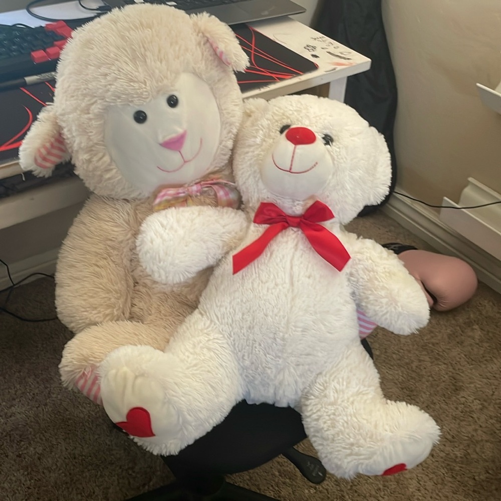 Teddy Bear Bundle.